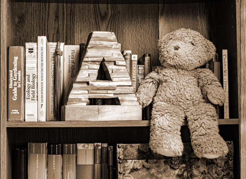 Bookshelf Letter by Alleesha MacDonald